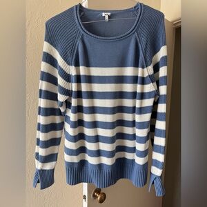 Aerie Blue and White Striped Crew Neck Sweater
